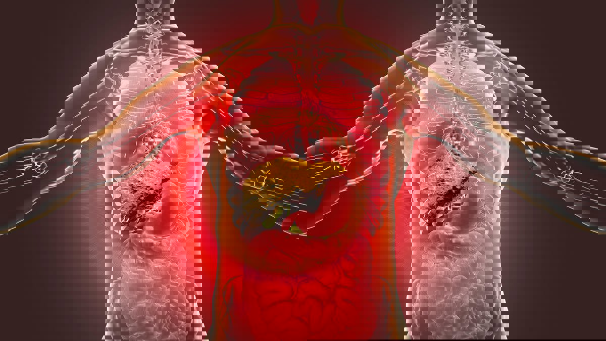 10 أعراض صحية قد تدل على مشاكل في الكبد 