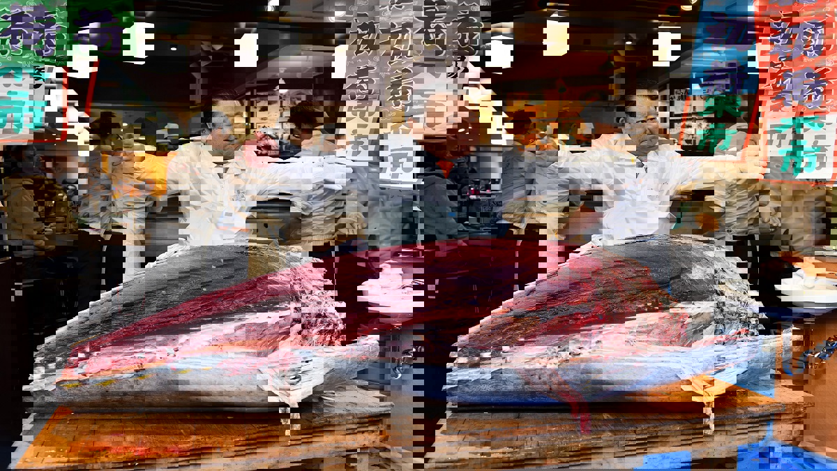 "ملك التونا" يشتري سمكة بـ1.8 مليون دولار