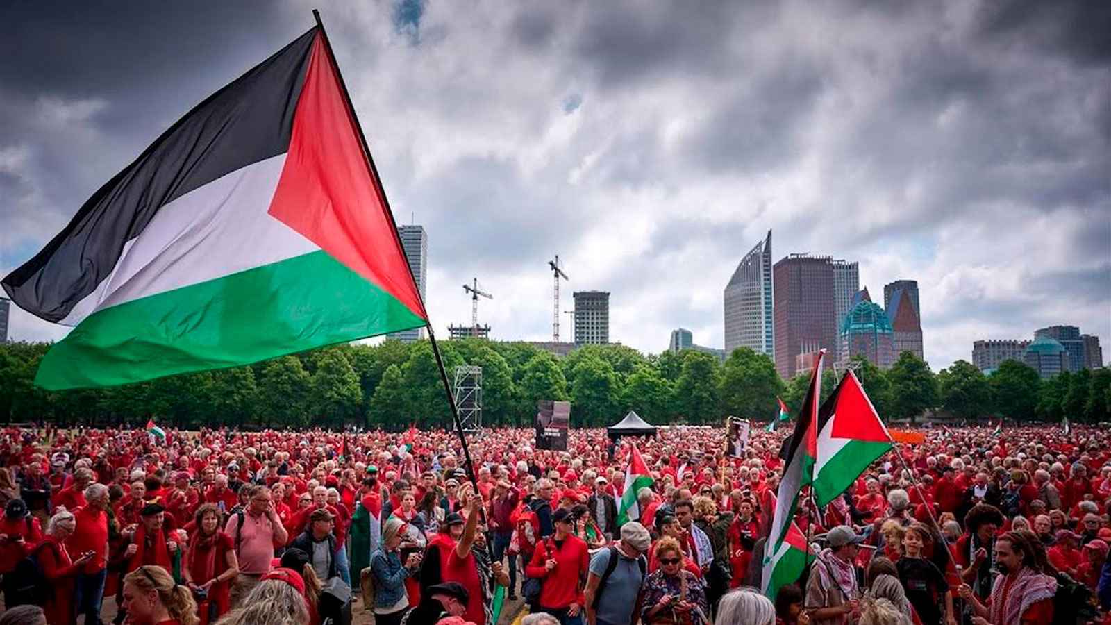 أمام "العدل الدولية".. مظاهرات حاشدة في لاهاي رفضا لحرب غزة (فيديو وصور)