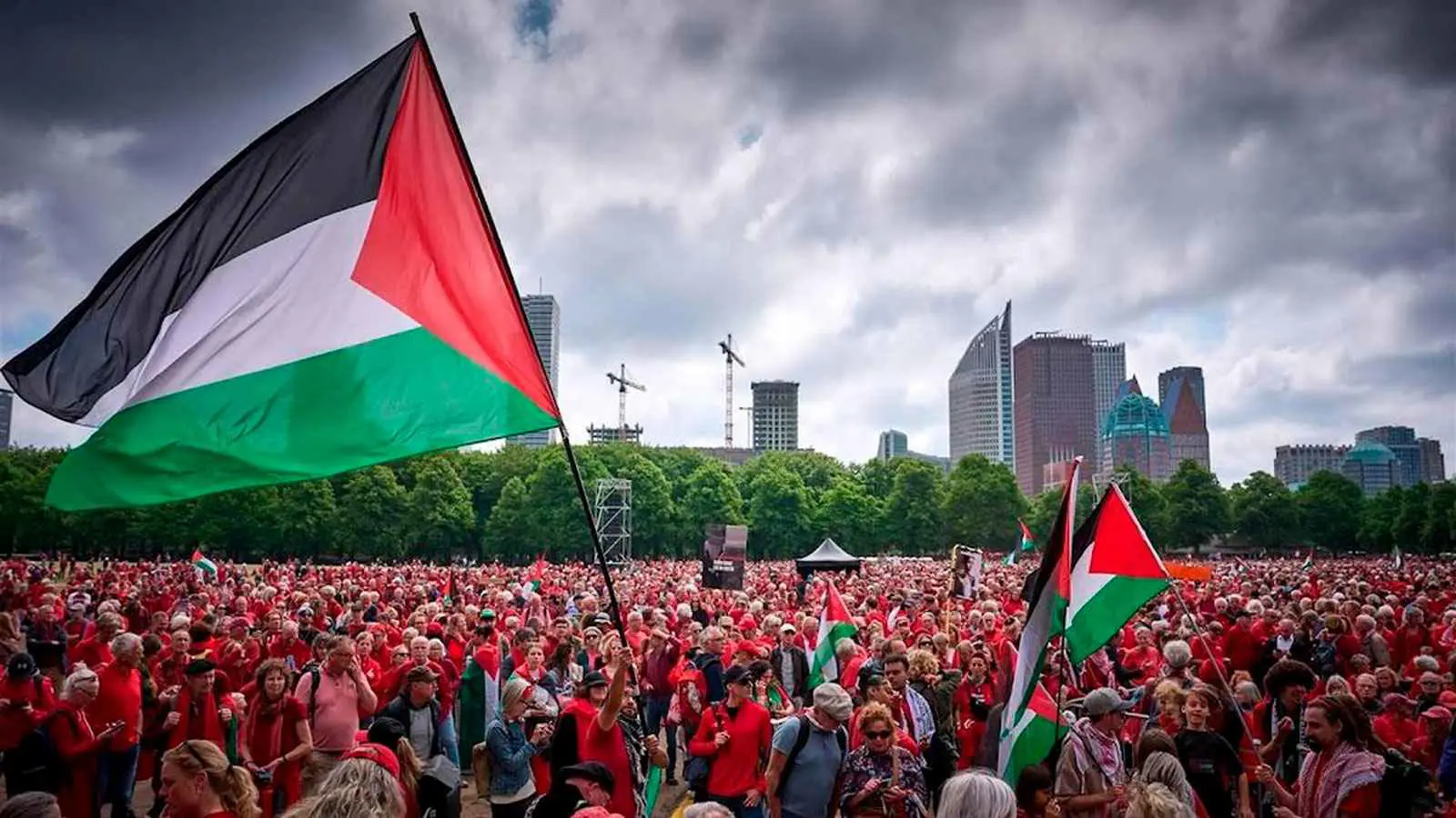 أمام "العدل الدولية".. مظاهرات حاشدة في لاهاي رفضا لحرب غزة (فيديو وصور)