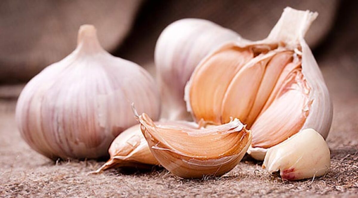 دراسة: الثوم يساعد في حماية قلوب المصابين بالسكري