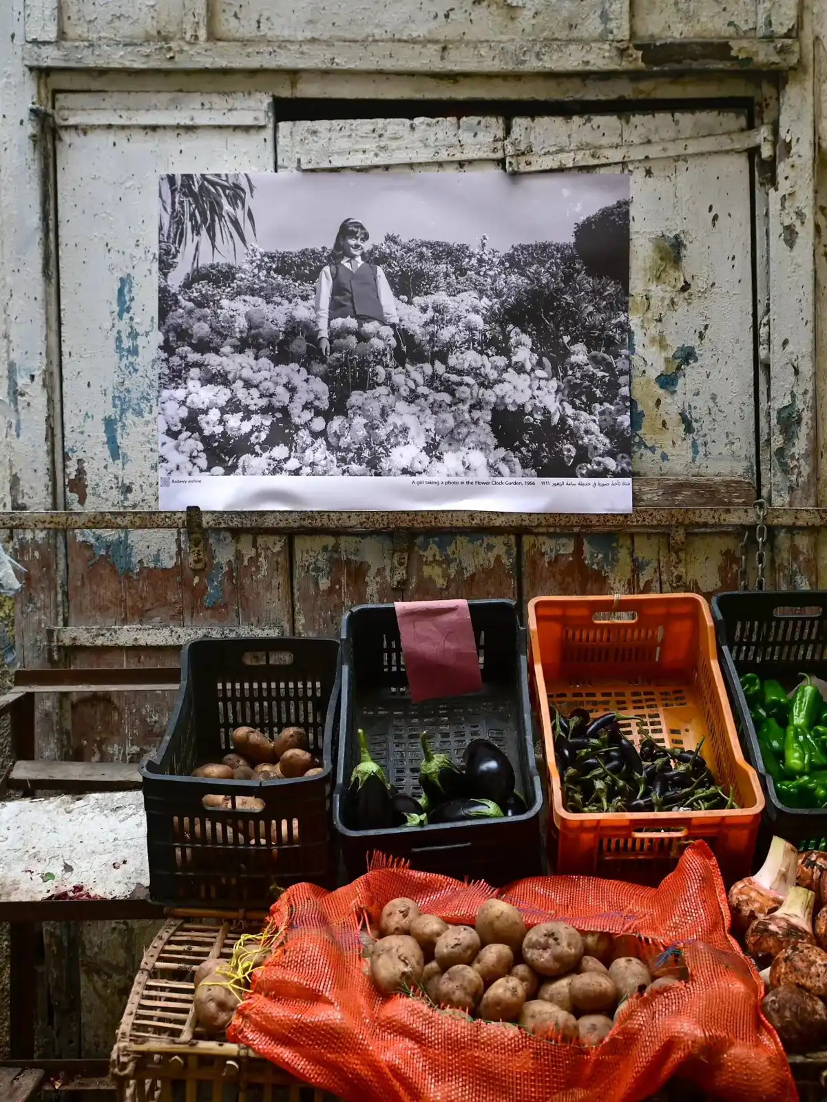 صور أحمد بدوي شوارع الإسكندرية، مصر