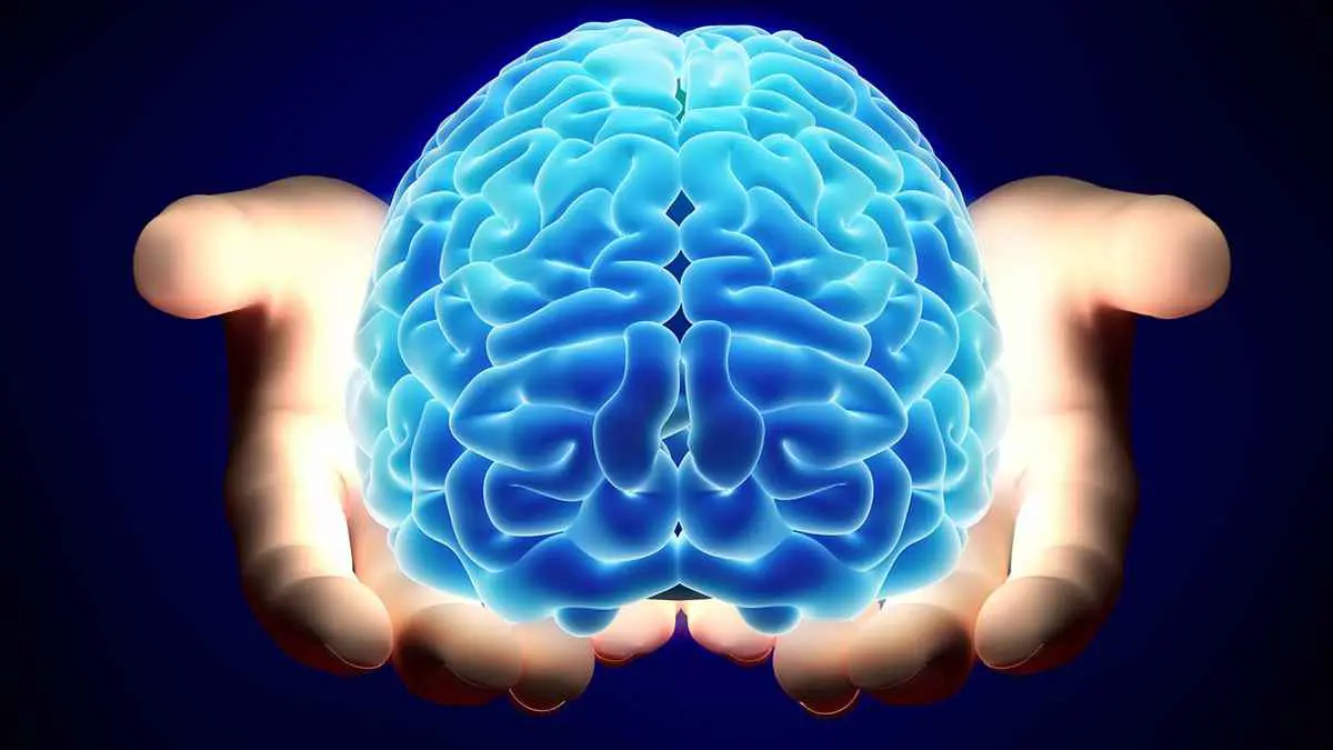 زرعة في دماغ امرأة تحوّل أفكارها إلى "كلمات"