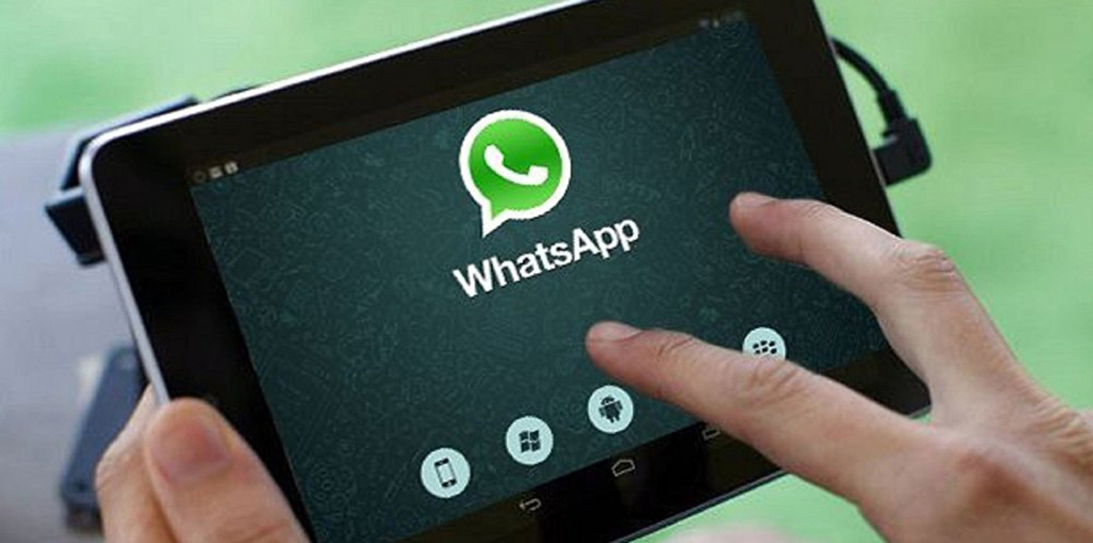 الكشف عن مجموعة "واتس آب" تروج للشذوذ والتحرش الجنسي بالأطفال في السعودية