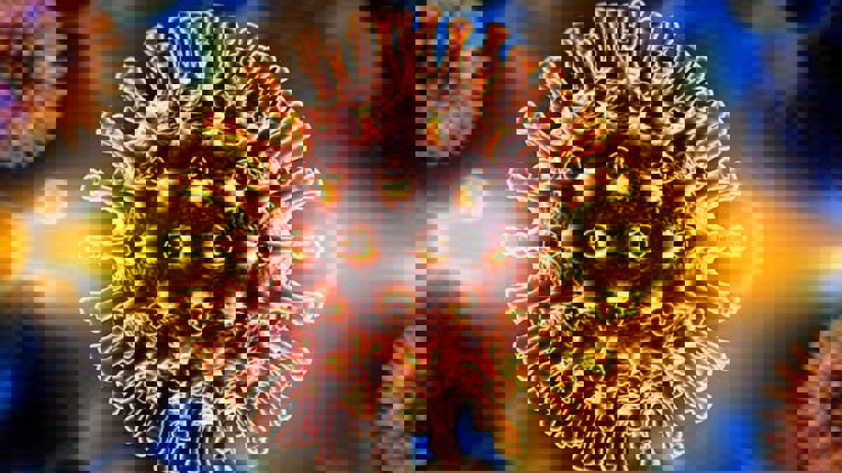 اختفاء تام لفيروس نقص المناعة البشرية عند ثاني مريض في العالم‎