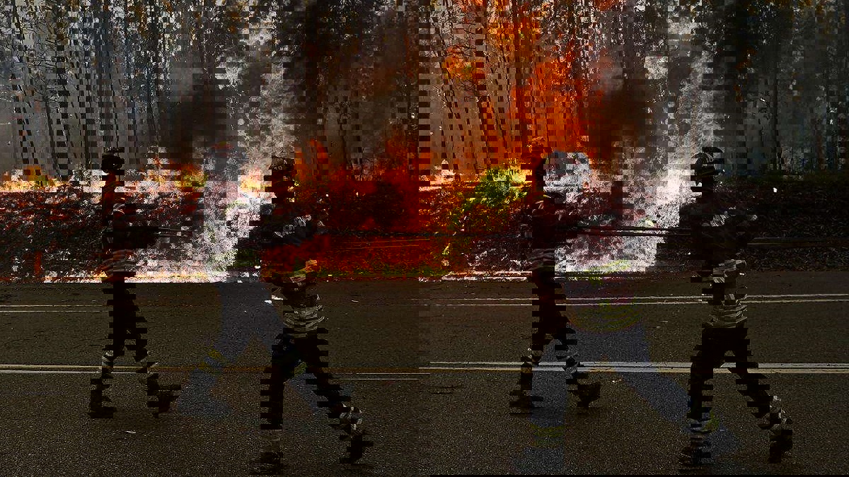 البرتغال تستنفر مئات الإطفائيين لمكافحة الحرائق (صور وفيديو)