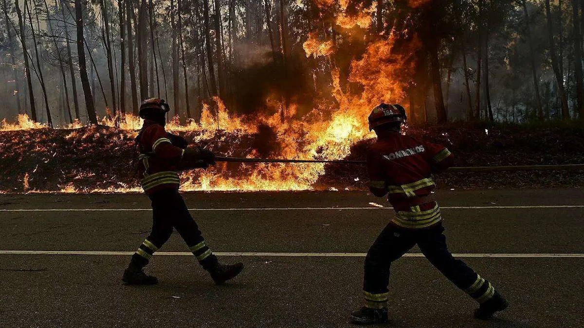 البرتغال تستنفر مئات الإطفائيين لمكافحة الحرائق (صور وفيديو)