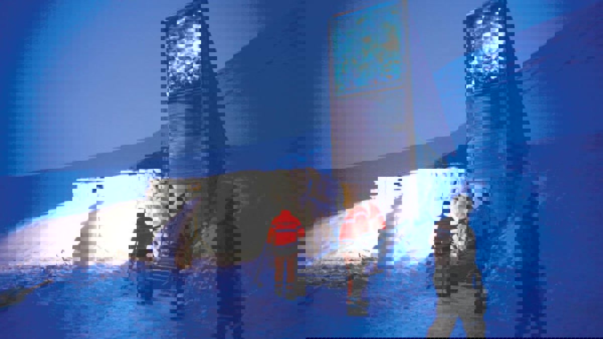 قبو "نهاية العالم" يتلقى رقمًا قياسيًا من البذور