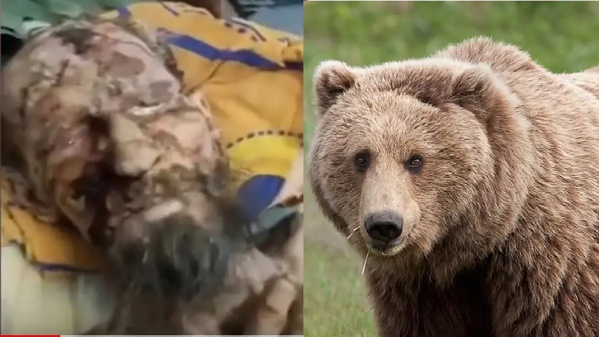 الكشف عن حقيقة "الرجل المومياء" الذي اختطفه دب في روسيا (صور وفيديو)