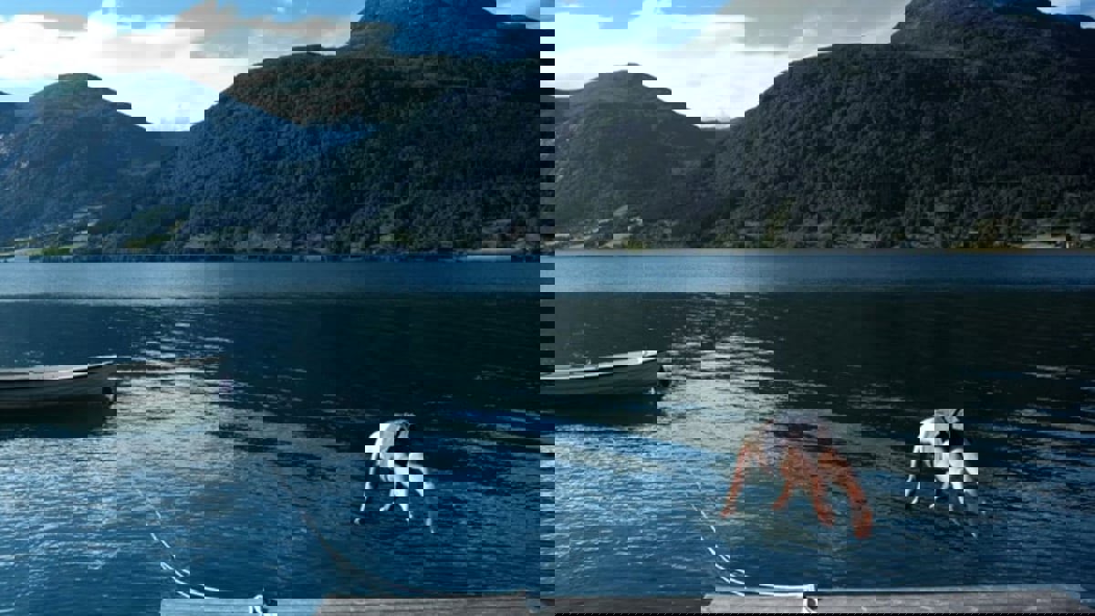 بينها أنتاركتيكا.. هذه أفضل 10 أماكن حول العالم لتجربة الغطس القطبي