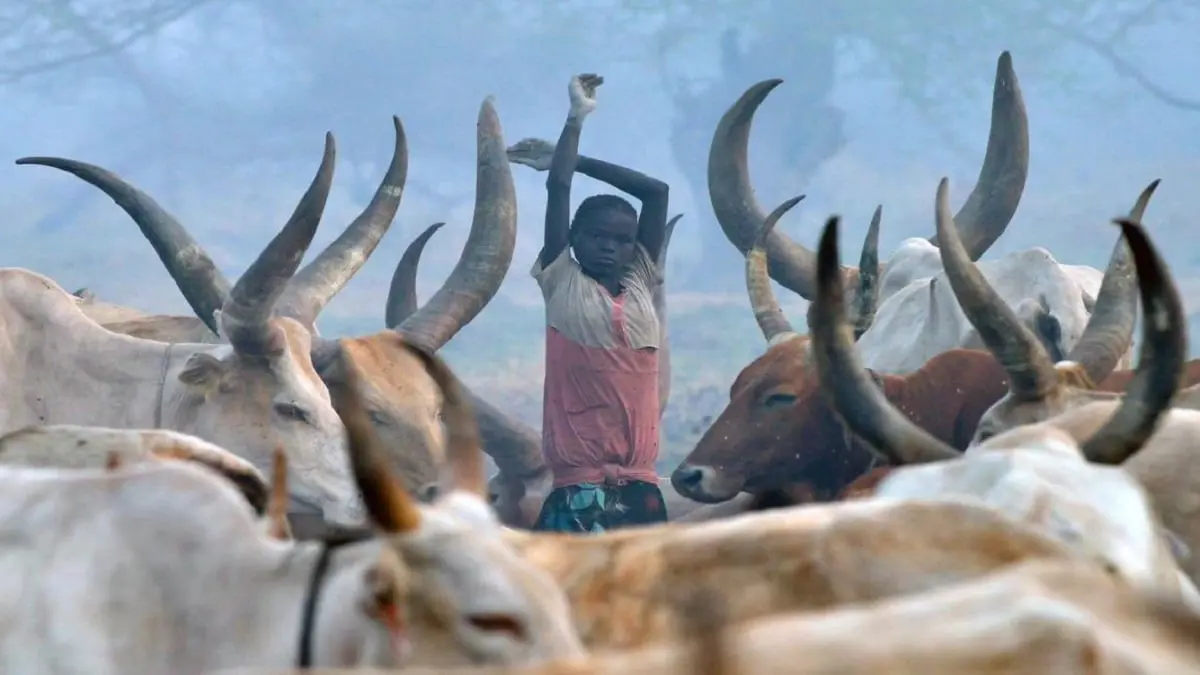 السلطات السودانية تحبط محاولة تهريب حيوانات برية خارج البلاد دون ترخيص
