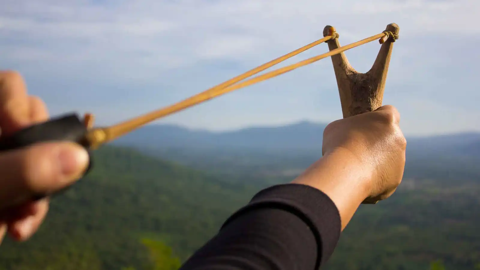 هكذا يتسبب "تيك توك" في مقتل وتعذيب الطيور ببريطانيا