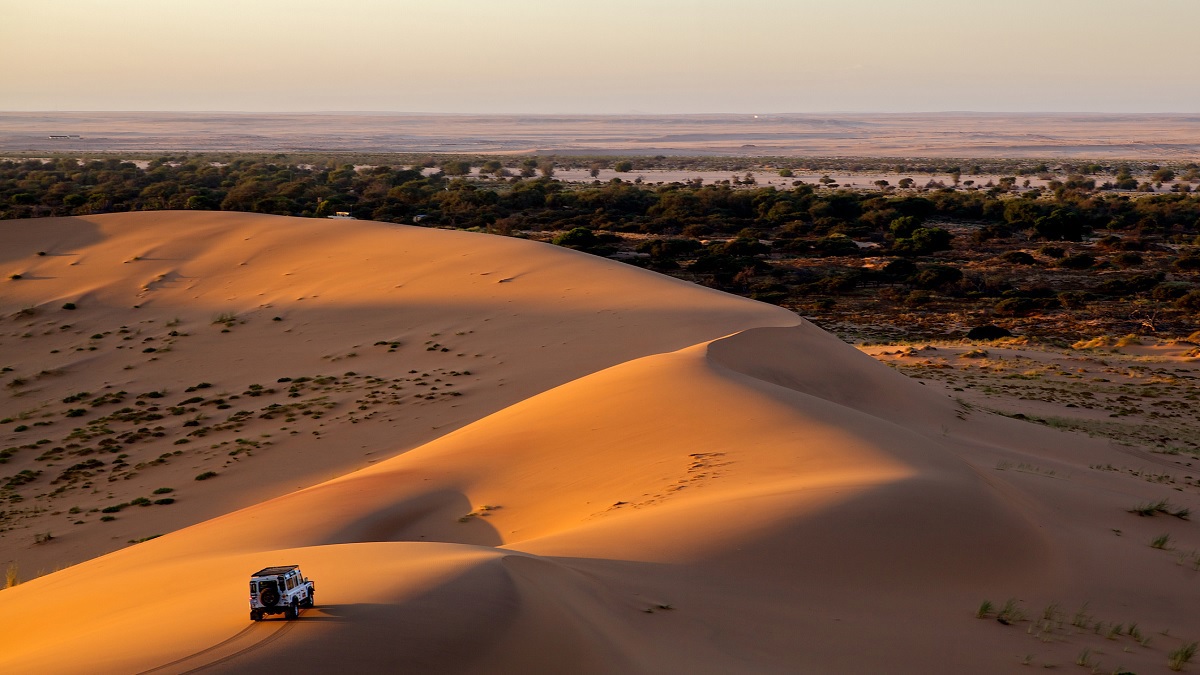 "المدينة الإسفنجية" ابتكار لتنمية الزراعة الصحراوية في الإمارات