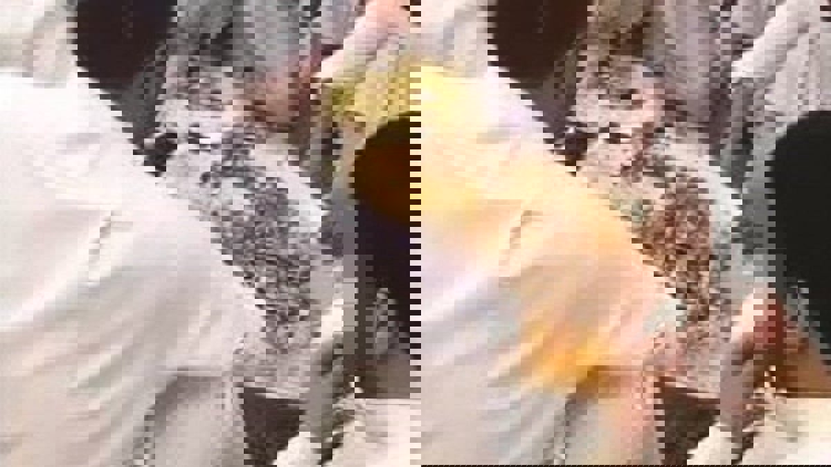 ضبط 9 كويتيين أقاموا وليمة وتفاخروا بها عبر مواقع التواصل (فيديو)