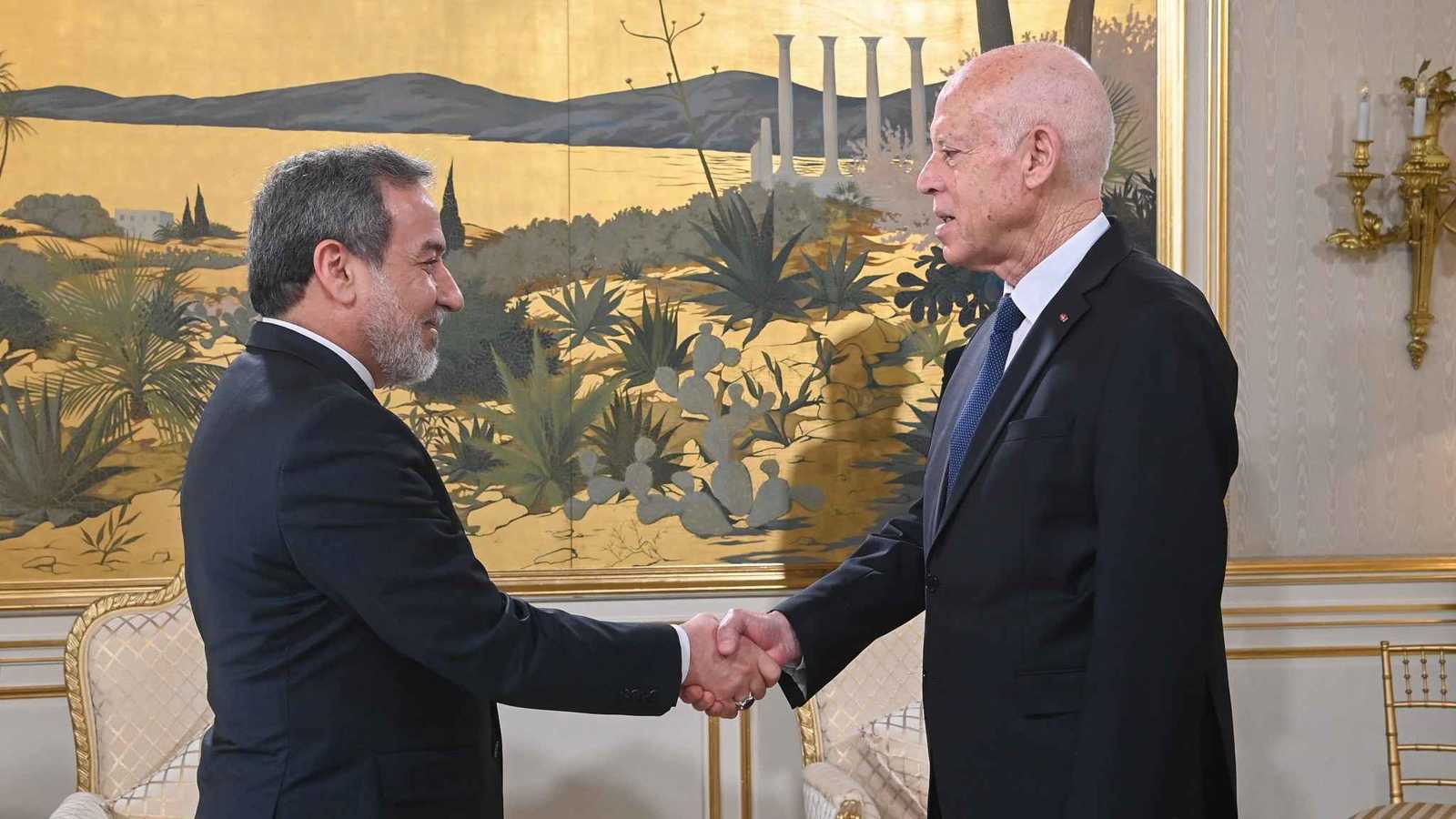 ماذا دار خلال لقاء قيس سعيد وعراقجي في تونس؟