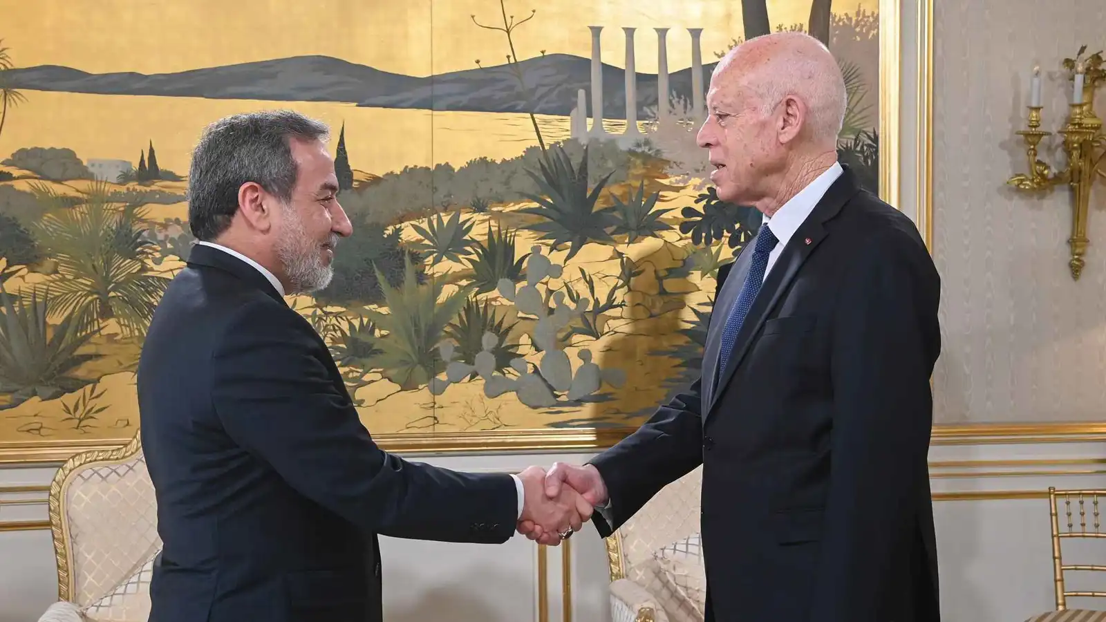 ماذا دار خلال لقاء قيس سعيد وعراقجي في تونس؟