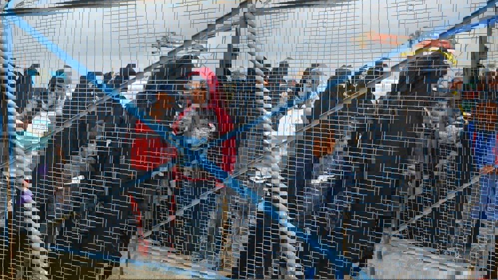 سوريا.. "الإدارة الذاتية" تستثني نساء داعش من المحاكمة