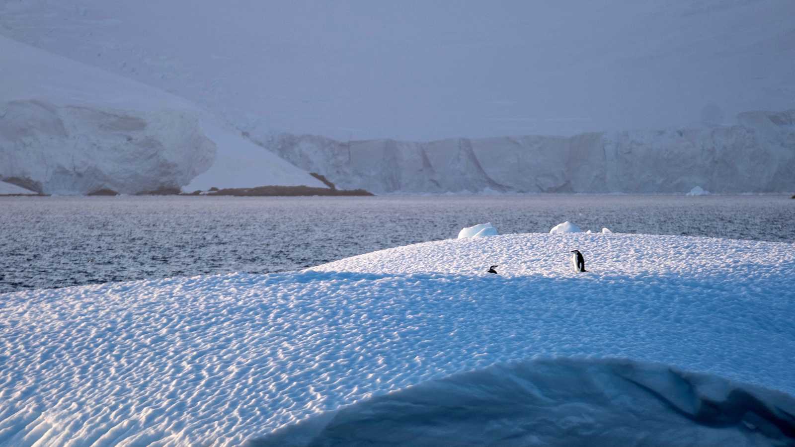 فقد 8 أشهر.. روبوت يعود من ظلام القطب الجنوبي بمفاجآت (فيديو)