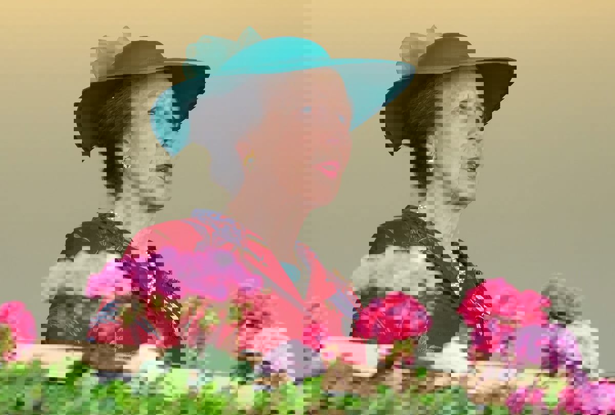 الأميرة آن تتعرض لحادث وتصاب بارتجاج في المخ