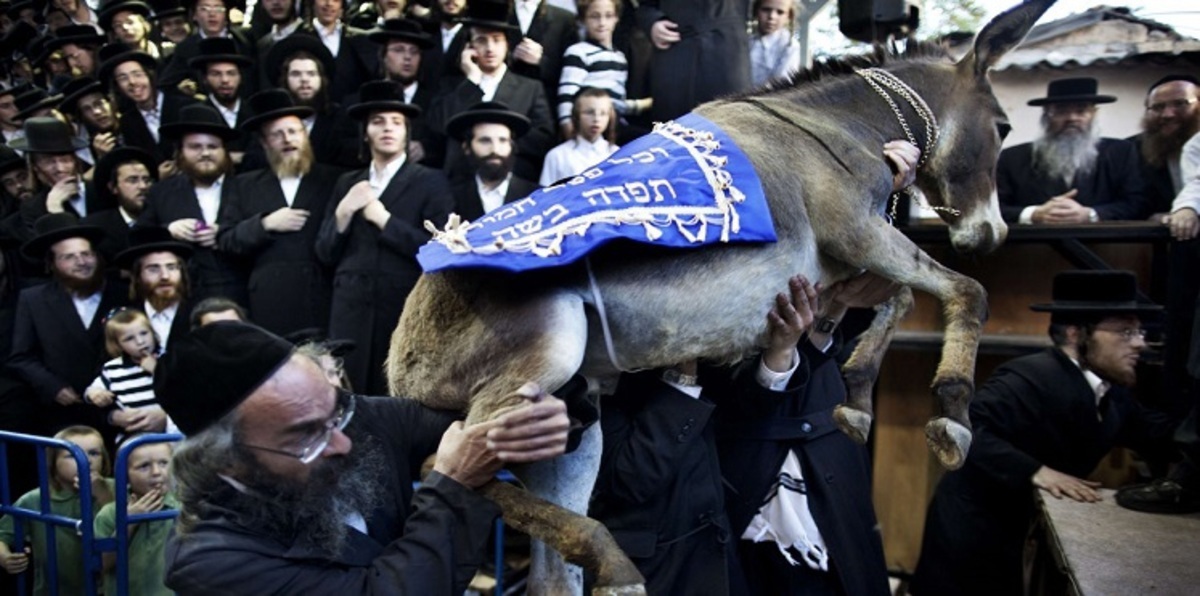 كاتب يحذر من تحول إسرائيل إلى دولة "داعشية"