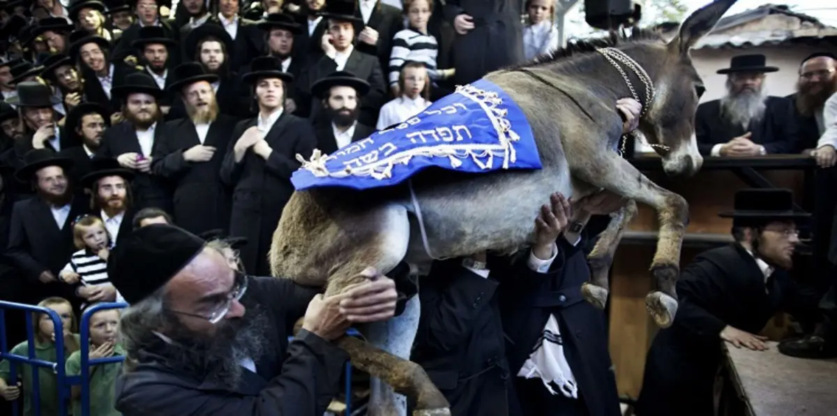 كاتب يحذر من تحول إسرائيل إلى دولة "داعشية"