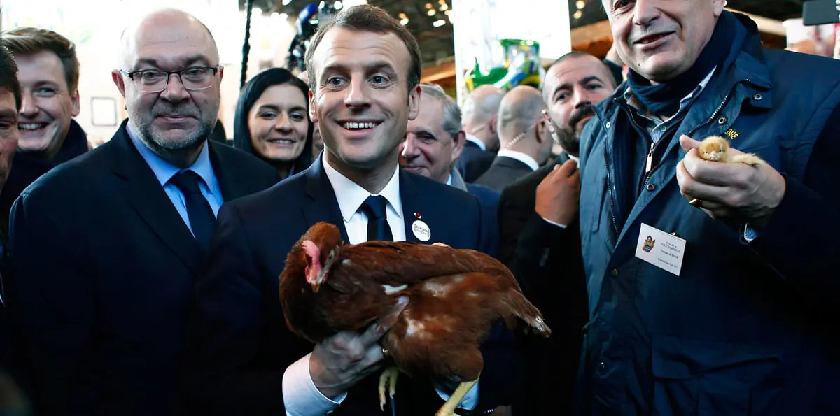 ماكرون يفاجئ فرنسا بتبني "دجاجة"