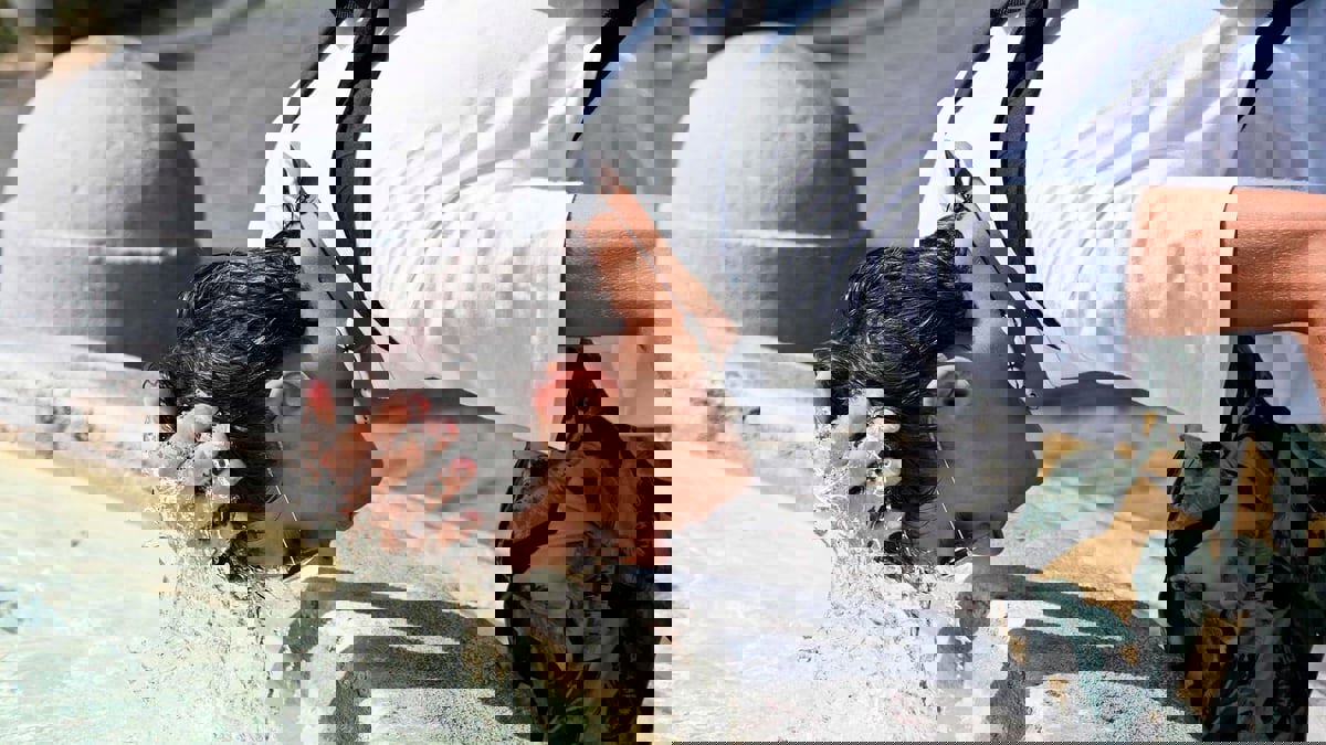 رغم حلول الخريف.. موجة حرّ "غير مسبوقة" تضرب إسبانيا والبرتغال