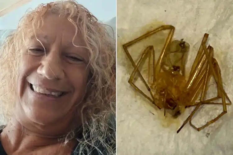 باتريشا والعنكبوت الذي اصطادته في منزلها