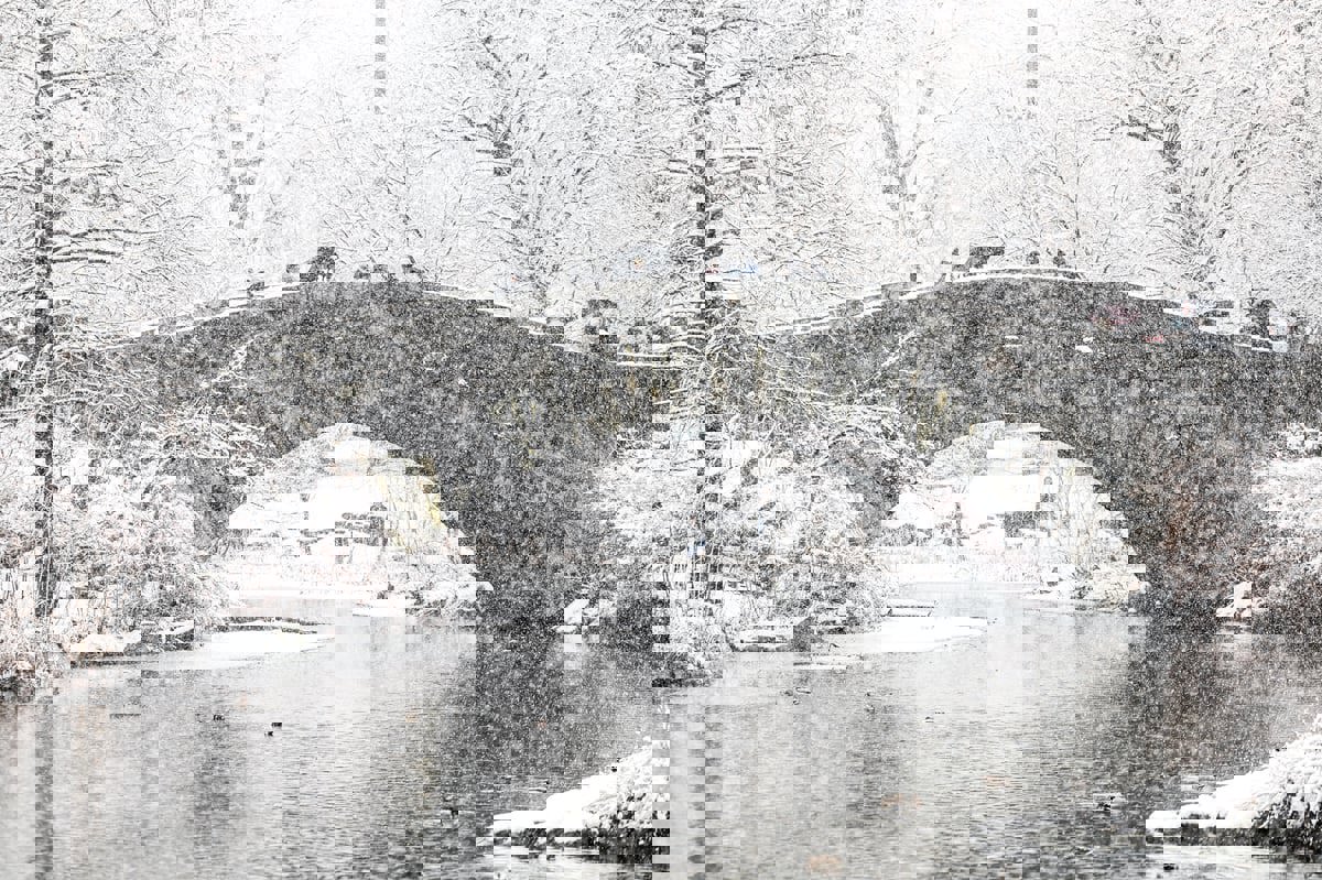 ثلوج "غير مسبوقة" تغلق المدارس وتعوق التنقل في نيويورك (صور)