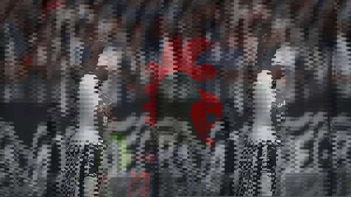 إيقاف تميمة فريق برازيلي مباراة واحدة بسبب سلوك مثير للفزع (فيديو)