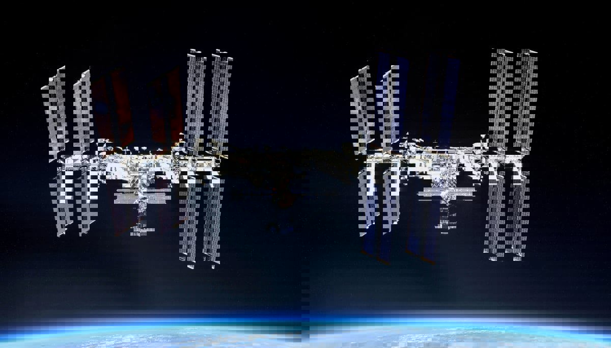 للمرة الأولى.. علماء يطوّرون أجنة فئران في الفضاء