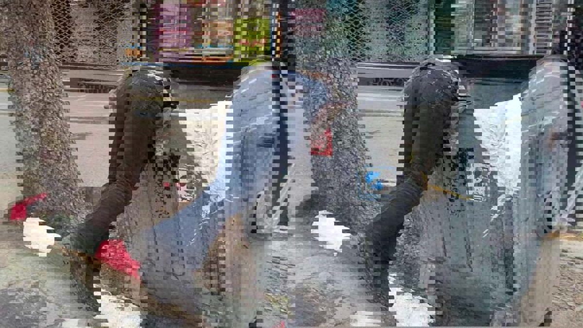 جامعو القمامة في طهران .. أطفال مشردون بين موتَي الجوع و"كورونا"