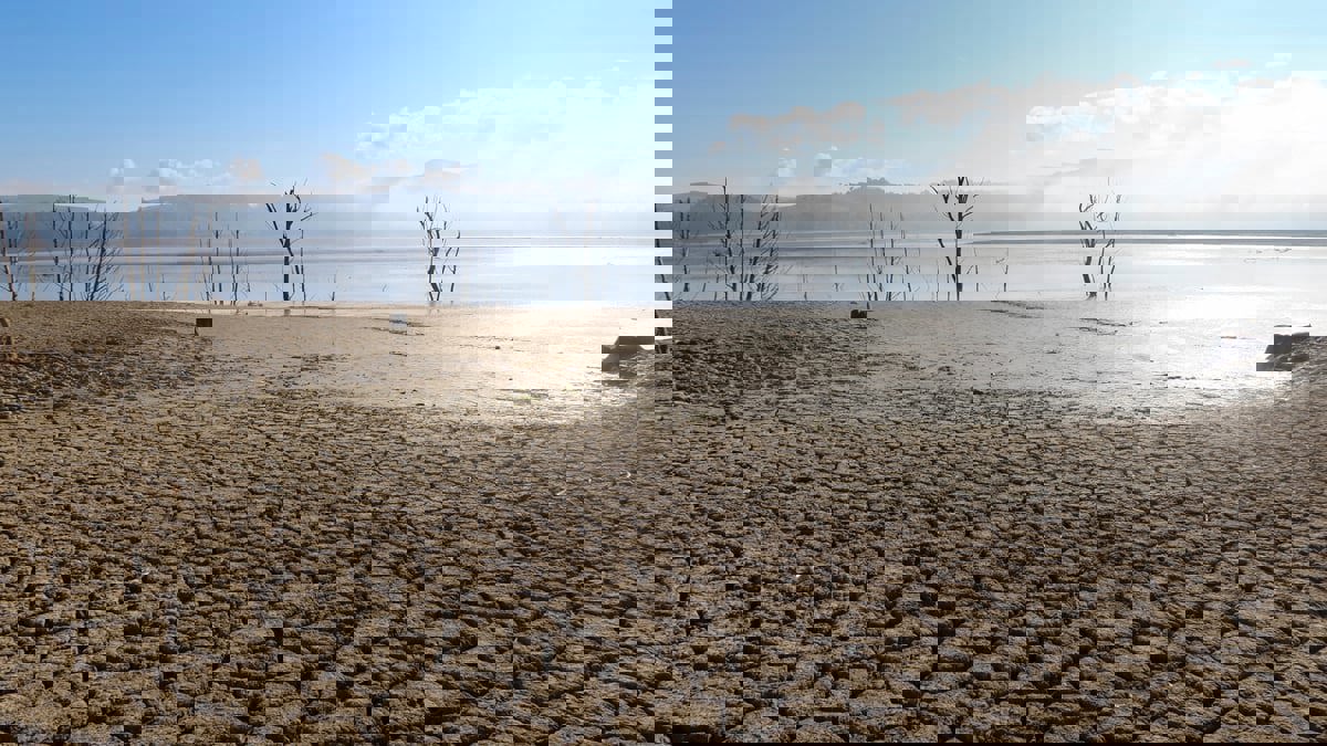 "القادم أسوأ".. شح المياه يهدد الأمن الغذائي في تونس