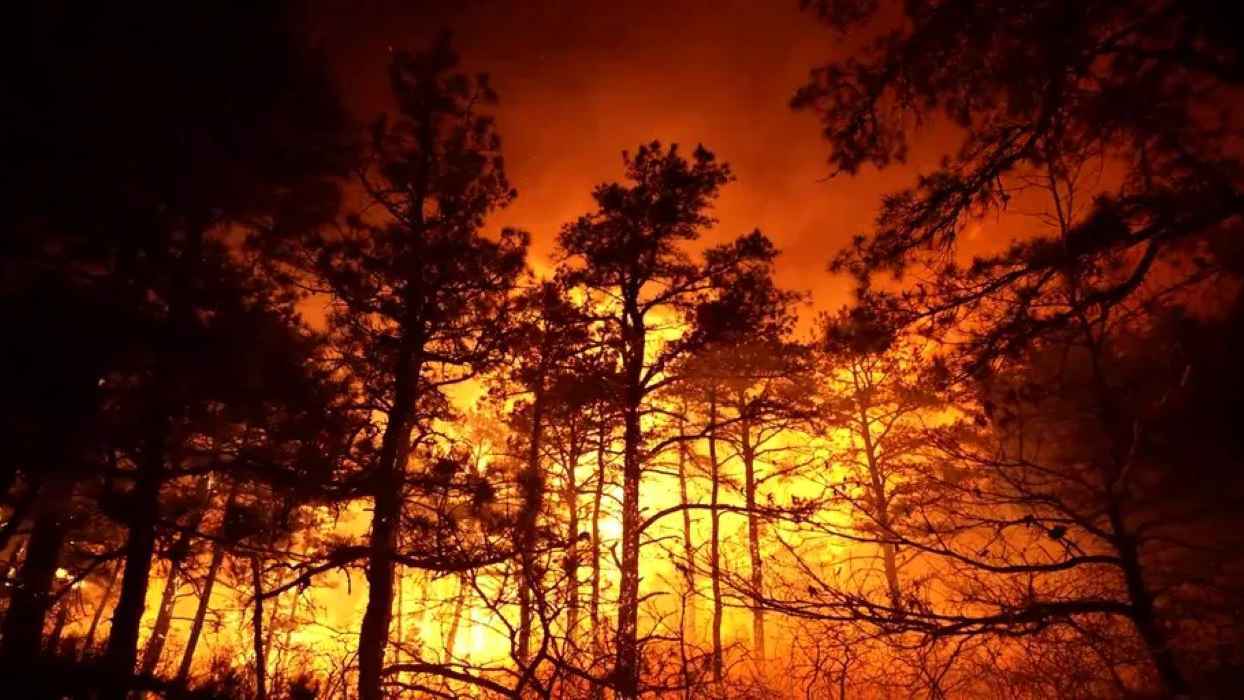 التهمت 15 ألف فدّان.. اعتقال شاب بتهمة التسبب بحرائق نيوجيرسي (صورة)