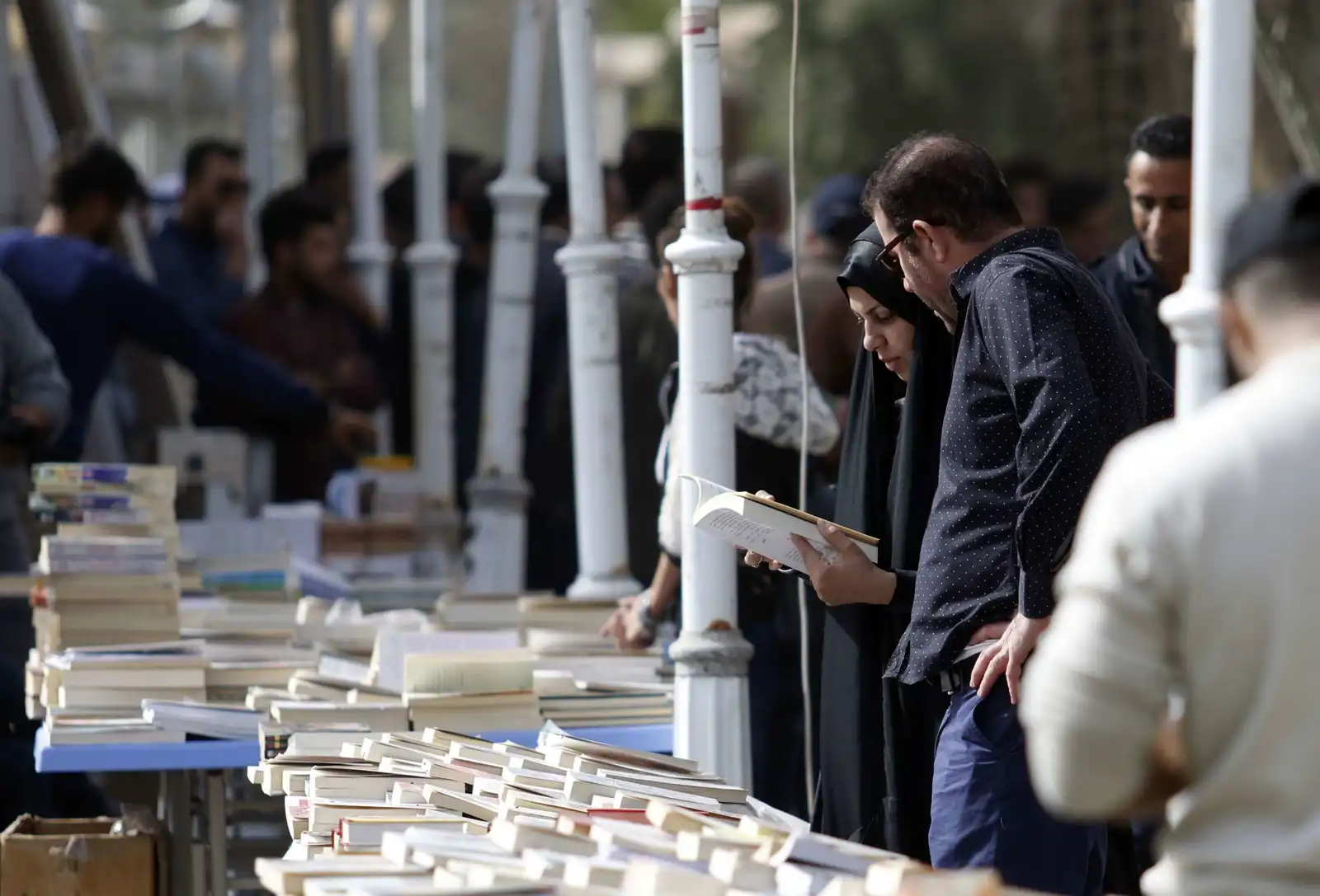 شارع الفراهيدي