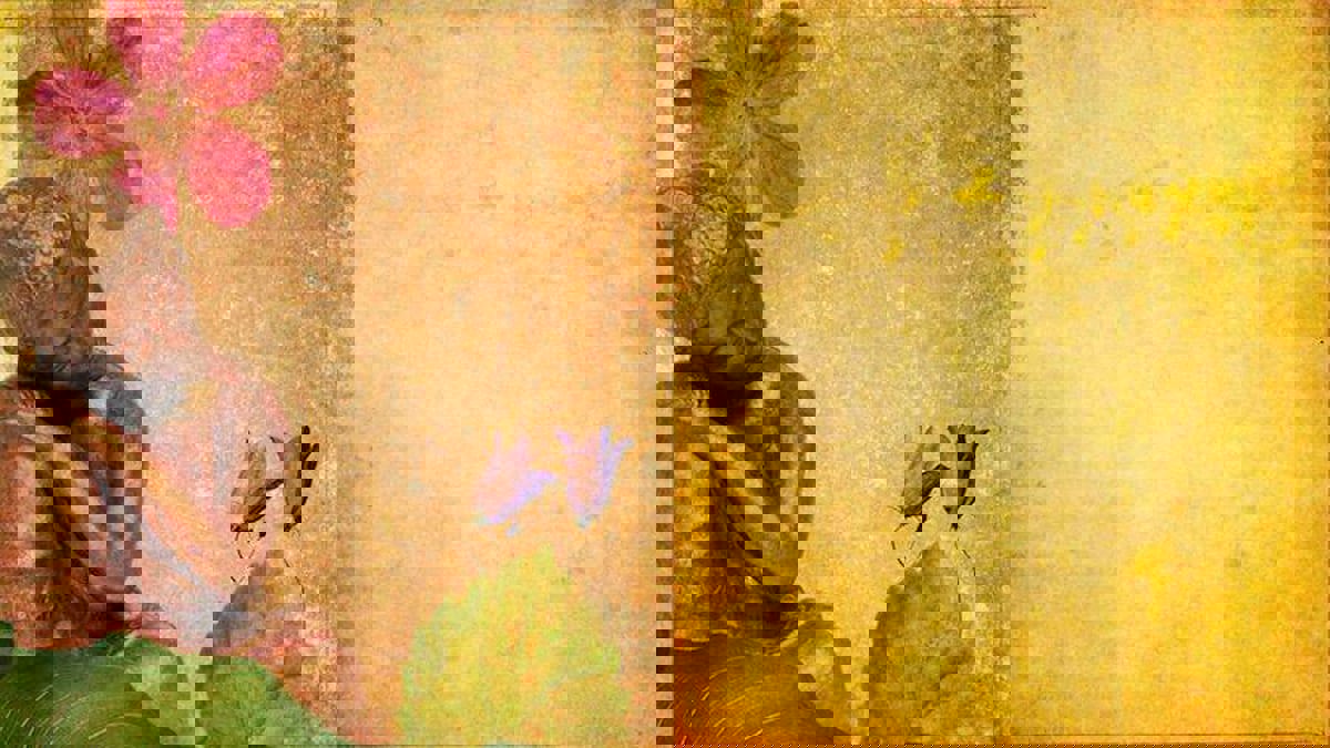 إساءات تصيب الروح وليس الجسد.. كيف؟