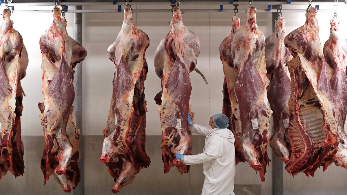 بلجيكا تبدأ حظر "الذبح الحلال" في عدة مناطق