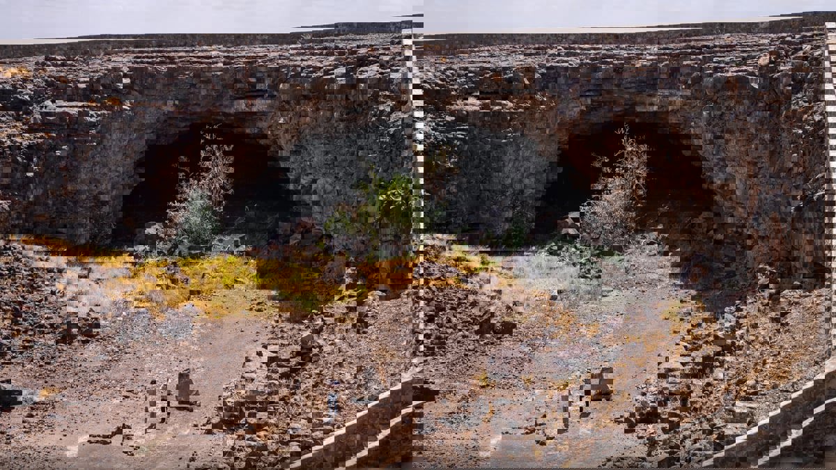 حياة قبل 10 آلاف سنة.. العثور على بقايا عظام في المدينة المنورة (صور)