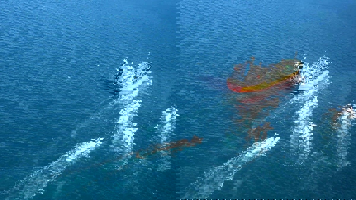 أمريكا تطالب إيران بالإفراج عن ناقلة ترفع علم كوريا الجنوبية