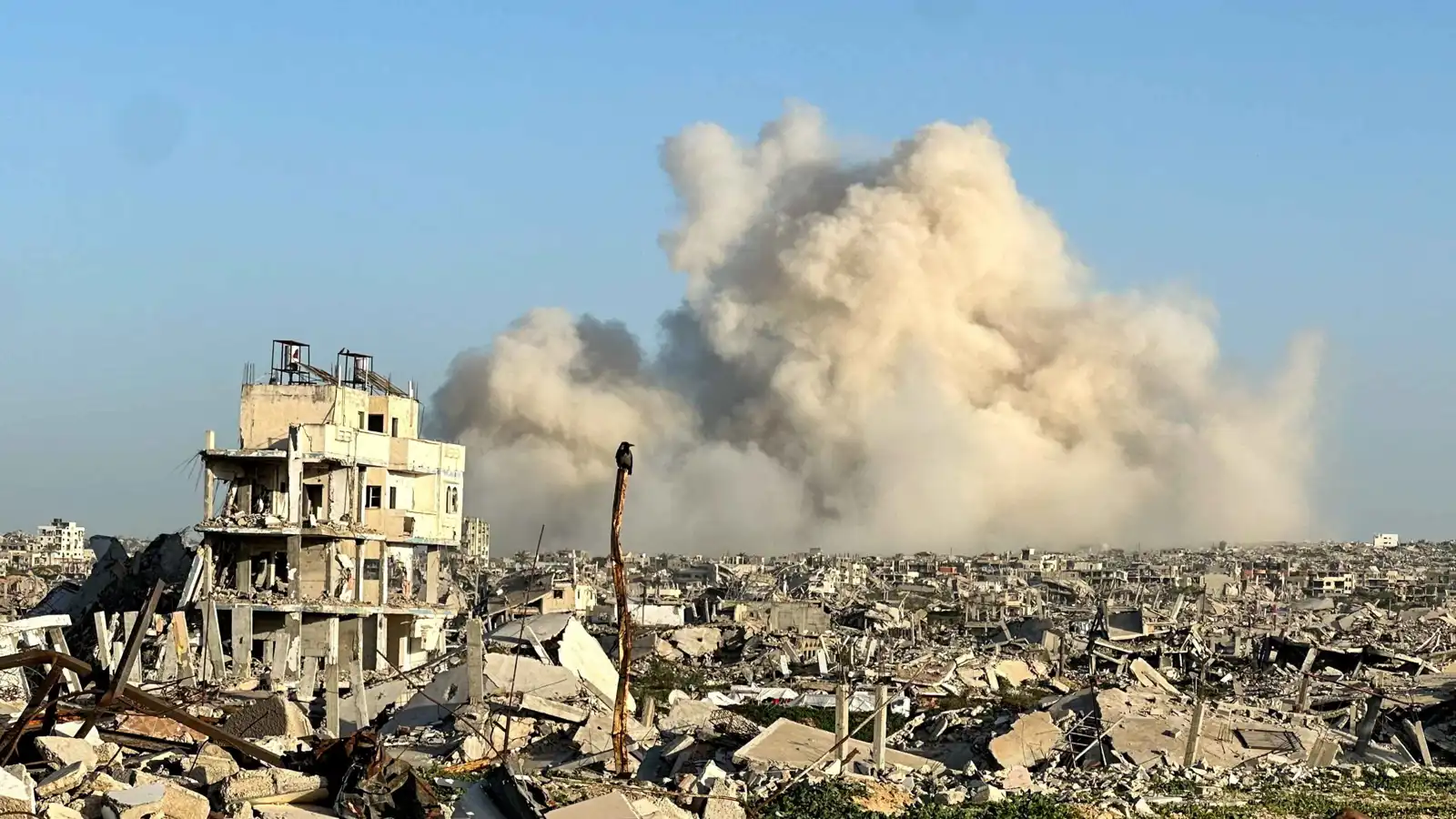 قصف إسرائيلي يوقع 10 قتلى في غزة (فيديو وصور)