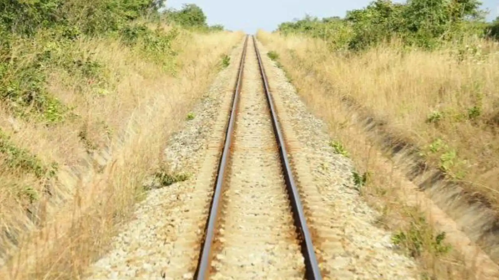 من النحاس إلى النفوذ.. مشروع "تازارا" يوسع رهانات الصين في أفريقيا