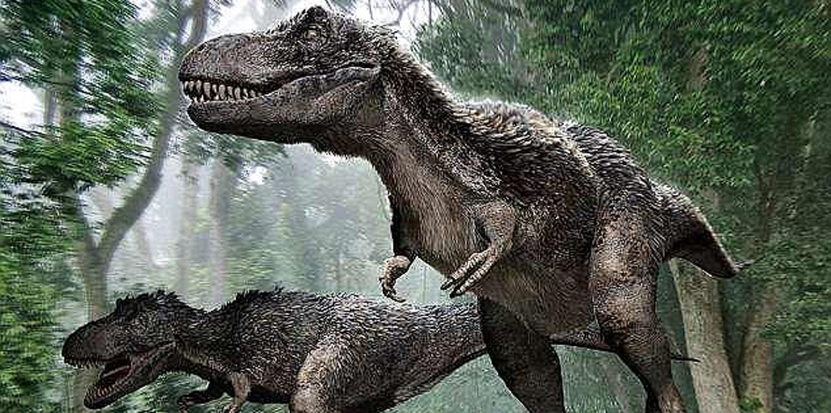 اكتشاف أكبر قدم لديناصور على وجه الأرض (صور)