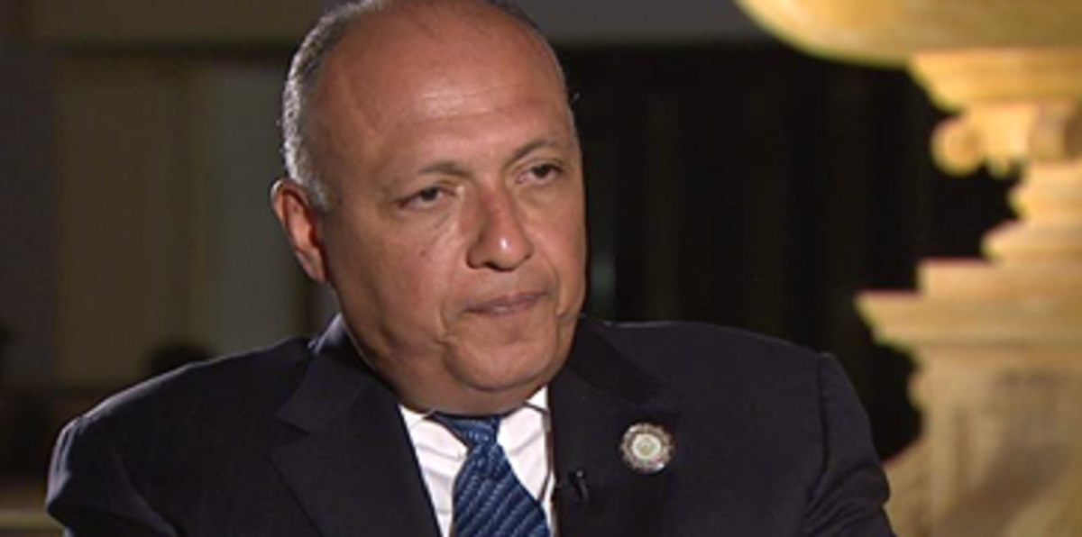 مصر تتابع "بعدم ارتياح" قرار البرلمان الإيطالي بشأن ريجيني