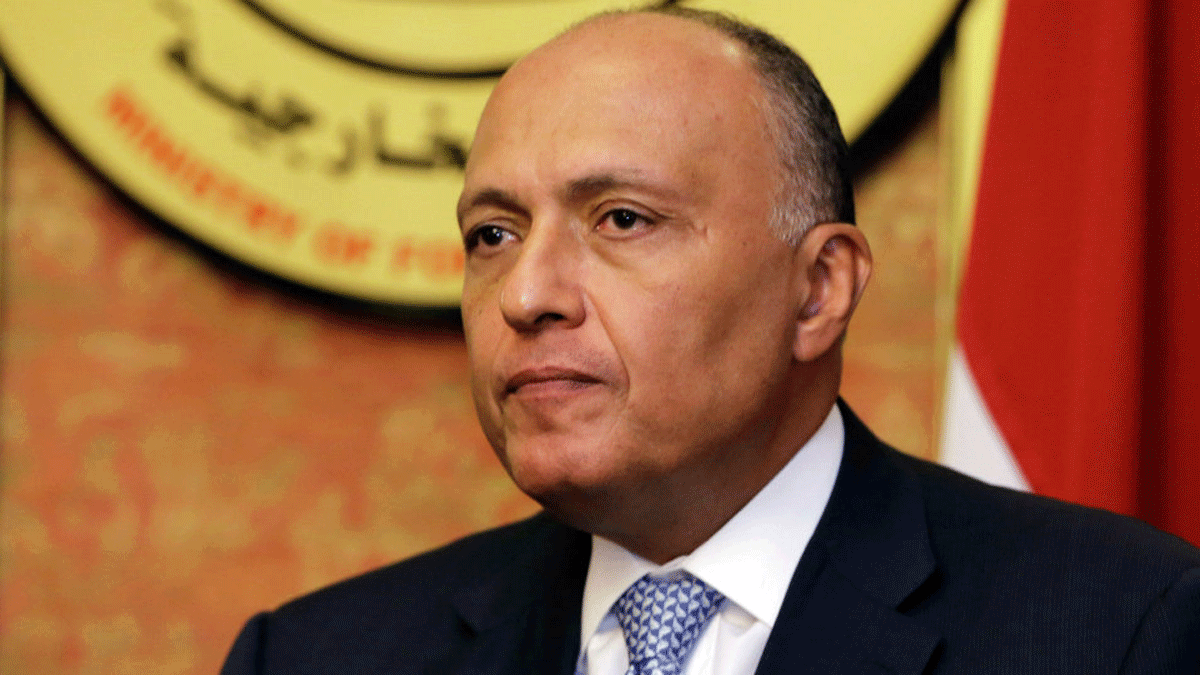 سامح شكري يدعو سوريا لاتخاذ إجراءات العودة إلى الجامعة العربية