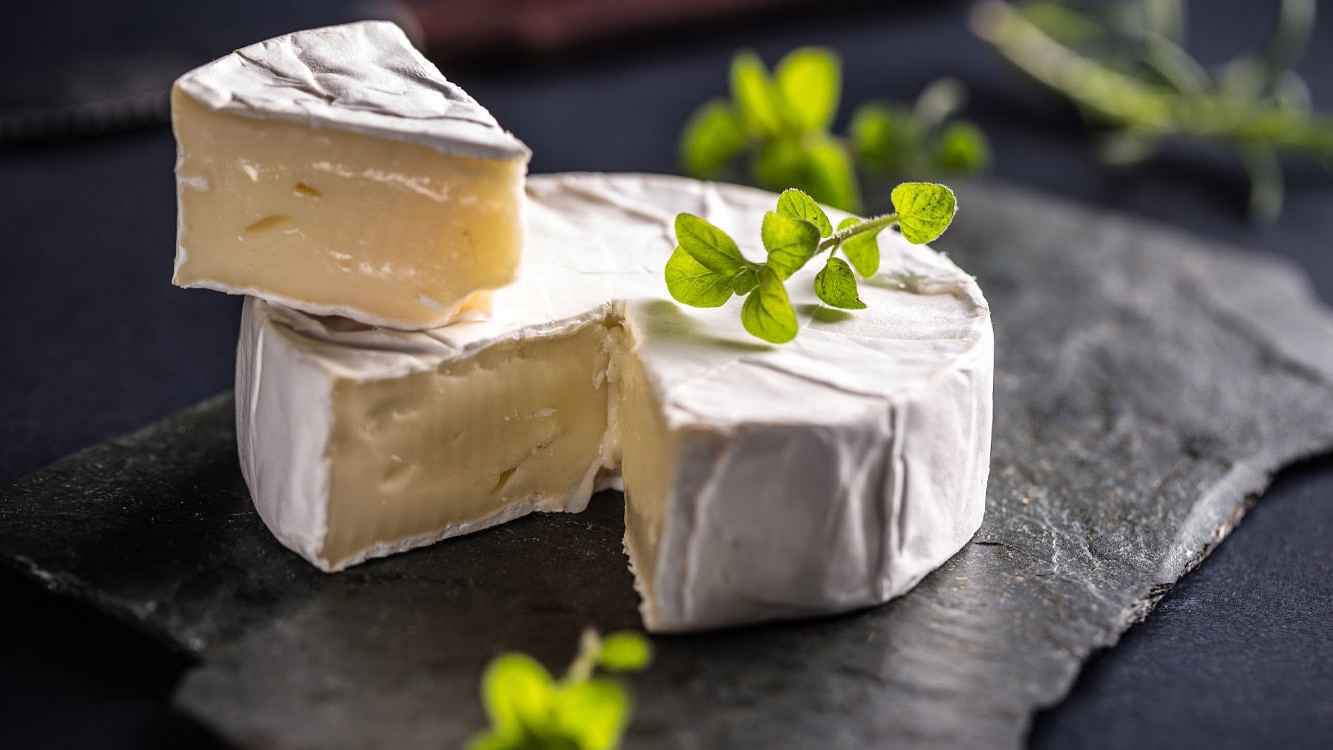 اكتشف تأثير جبن "الكممبرت" على الذاكرة