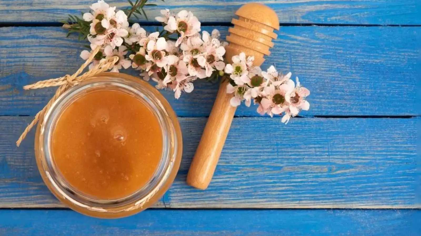 ما الذي يجعل عسل المانوكا فريداً؟