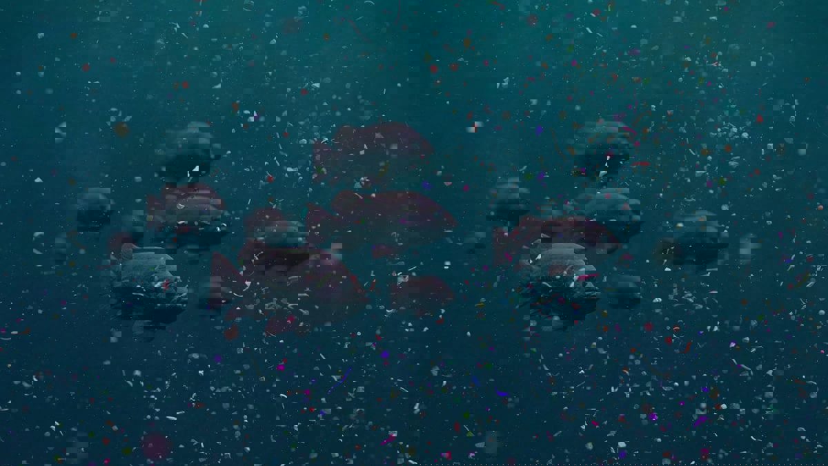 أسماك روبوتية تنظف المياه من المواد البلاستيكية الدقيقة