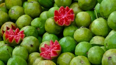 فاكهة الجوافة