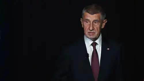  الملياردير أندريه بابيش