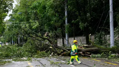 أسلاك متقطعة نتيجة الأحوال الجوية